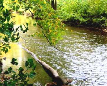 theMillRaceTrail
